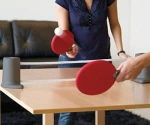portable ping pong set