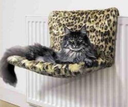 radiator cat bed