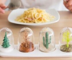 Four Seasons Shakers