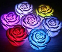 color changing flower lights