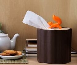 squirrel tissue box