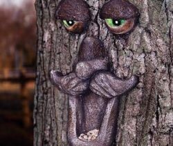 tree face bird feeder