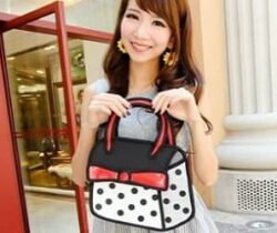 Cartoon handbag