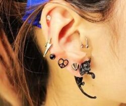 Cat Earrings