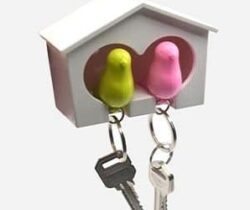 bird house with keyring holder