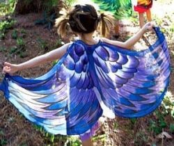 bird wings