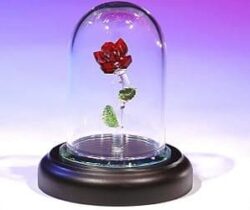 crystal enchanted rose