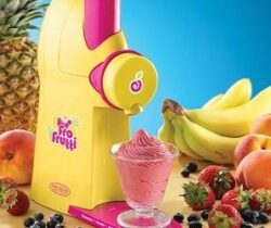 frozen fruit dessert maker