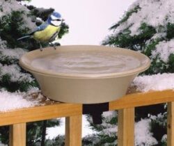 heated bird bath