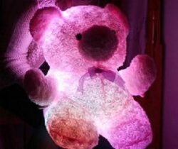 light up teddy bear