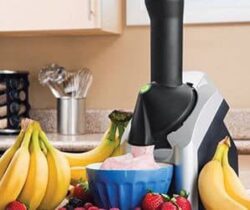 low fat ice cream maker