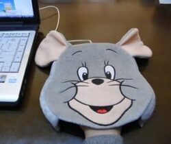 mouse shaped heated pad