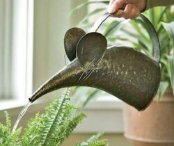 mouse watering can