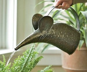 mouse watering can