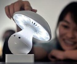 mushroom lamp and speaker