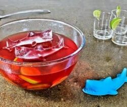 shark ice mold
