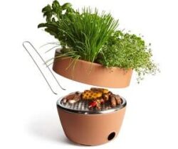 bbq and herb garden