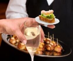 finger food plates