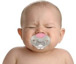 bunny pacifier