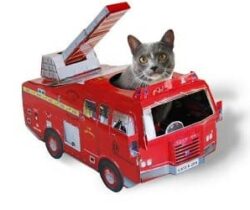 fire truck cat playhouse