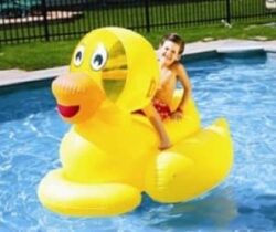 giant inflatable rubber duck