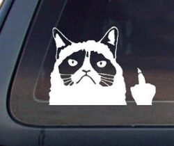 grumpy cat car decal