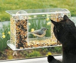 one way mirror bird feeder