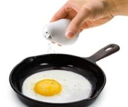 salt and pepper bird