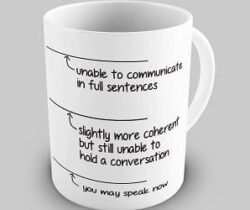 you may speak now mug