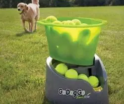 automatic ball launcher