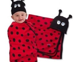 ladybug swaddle set