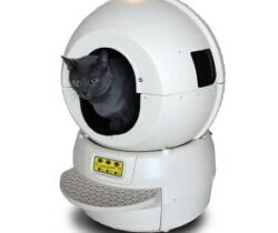 self cleaning litter box