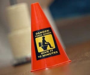 toilet caution cone