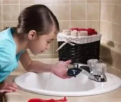 whale faucet fountain