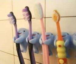 whale toothbrush holders