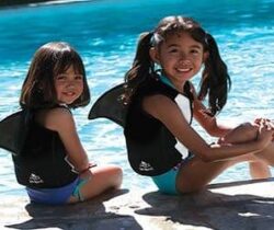 killer whale life vest