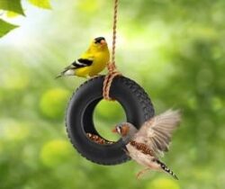 tire swing bird feeder