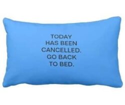 go back to bed pillowcase