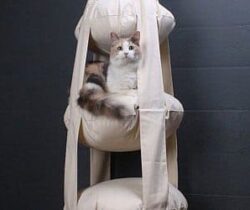 triple tiered cat bed