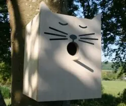 Cat Faced Bird Box