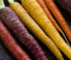 rainbow carrot seeds