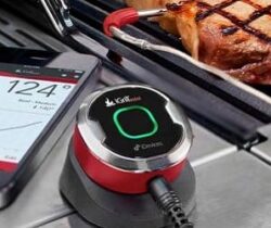 smart grilling thermometer