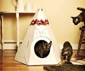 teepee cat playhouse