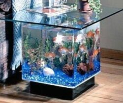 aquarium end table