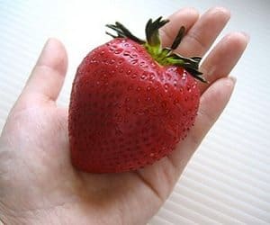 giant strawberry seeds