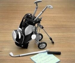 golf club pen set