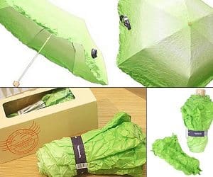 lettuce umbrella