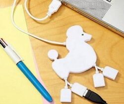 poodle usb hub