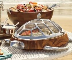 turtle chip and dip server