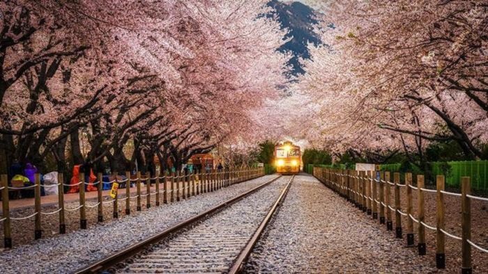 Gyeonghwa Station, south korea